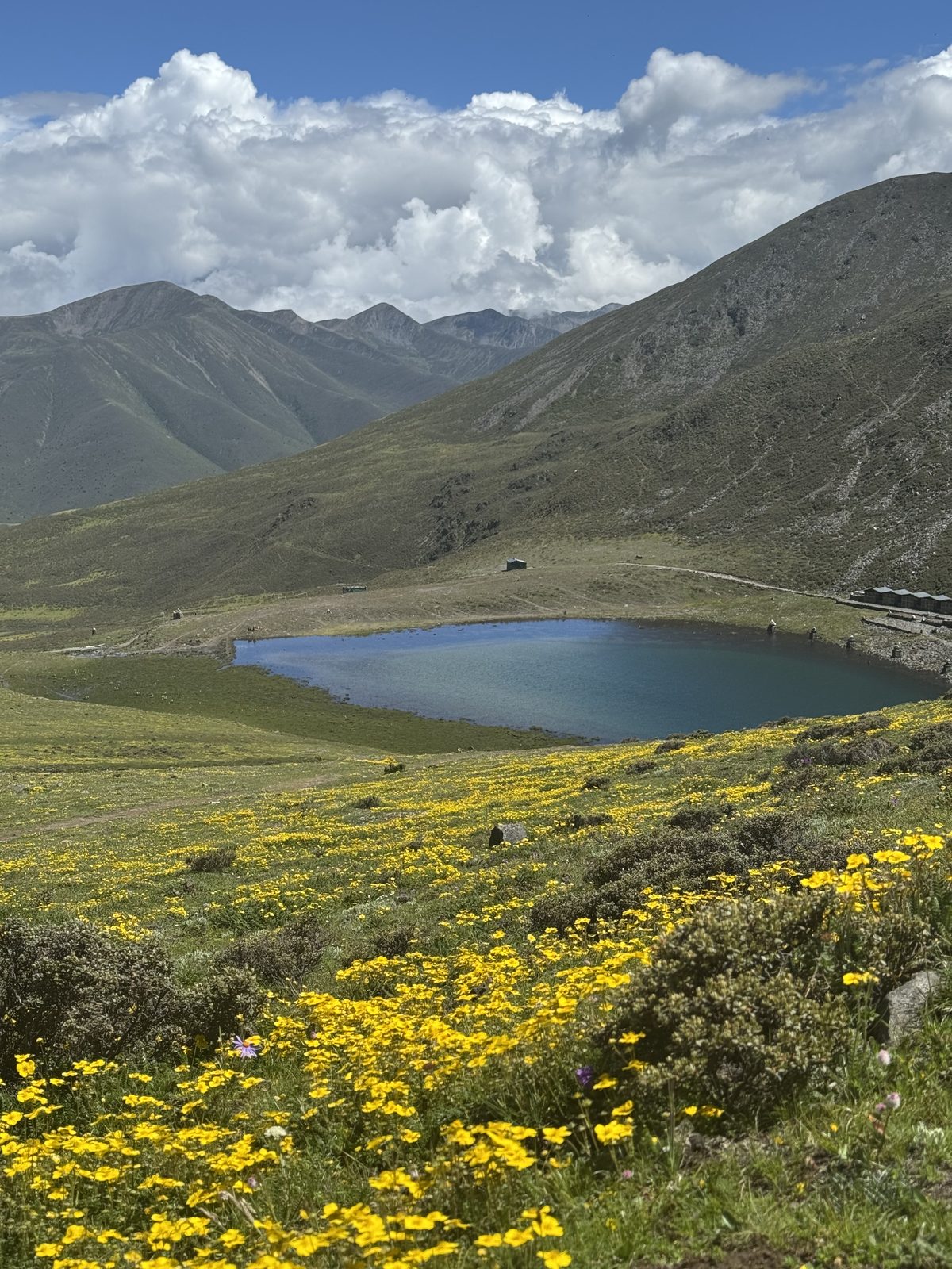 Minya Konka trek photo 9