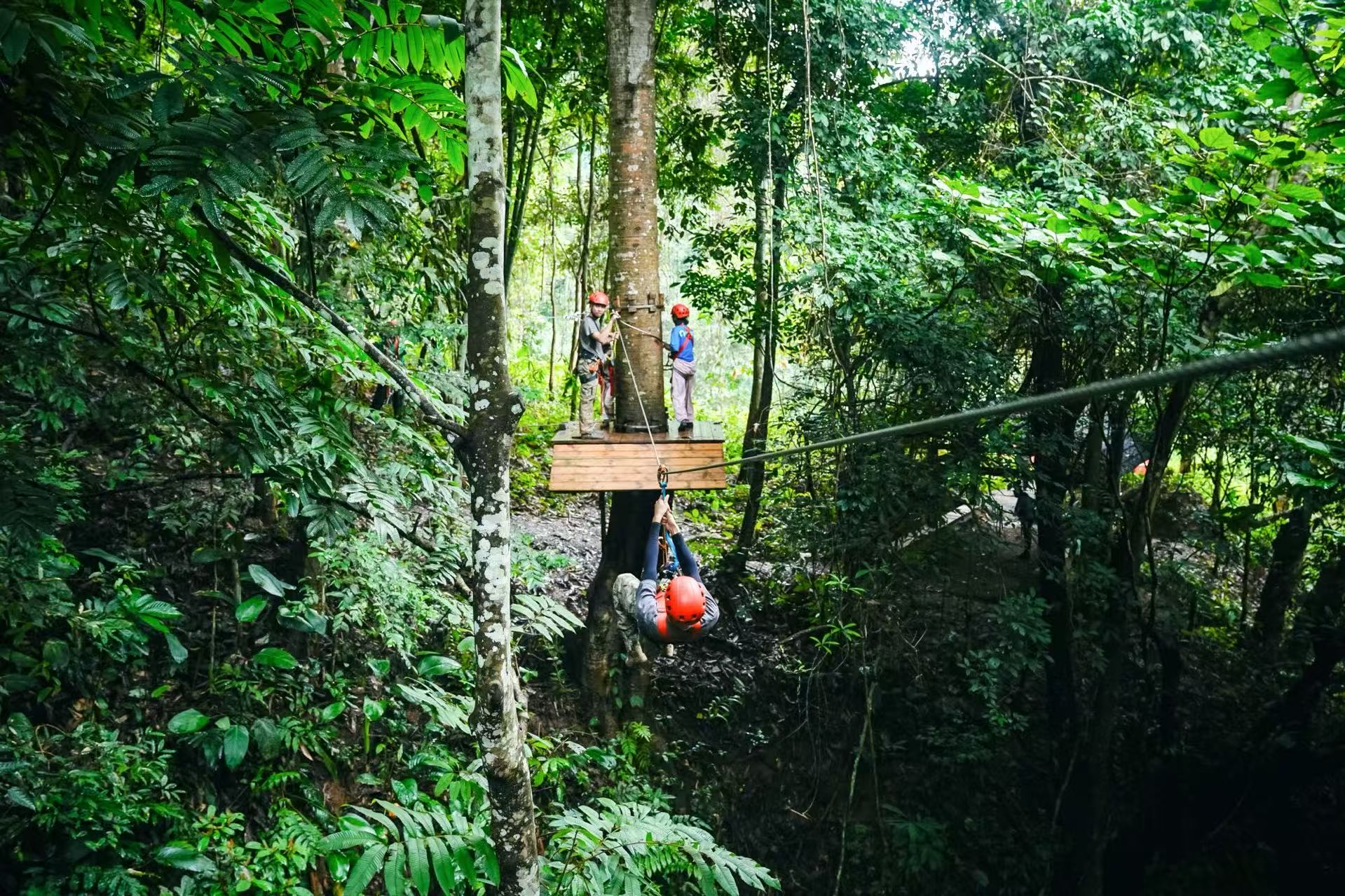 Xishuangbanna Rainforest